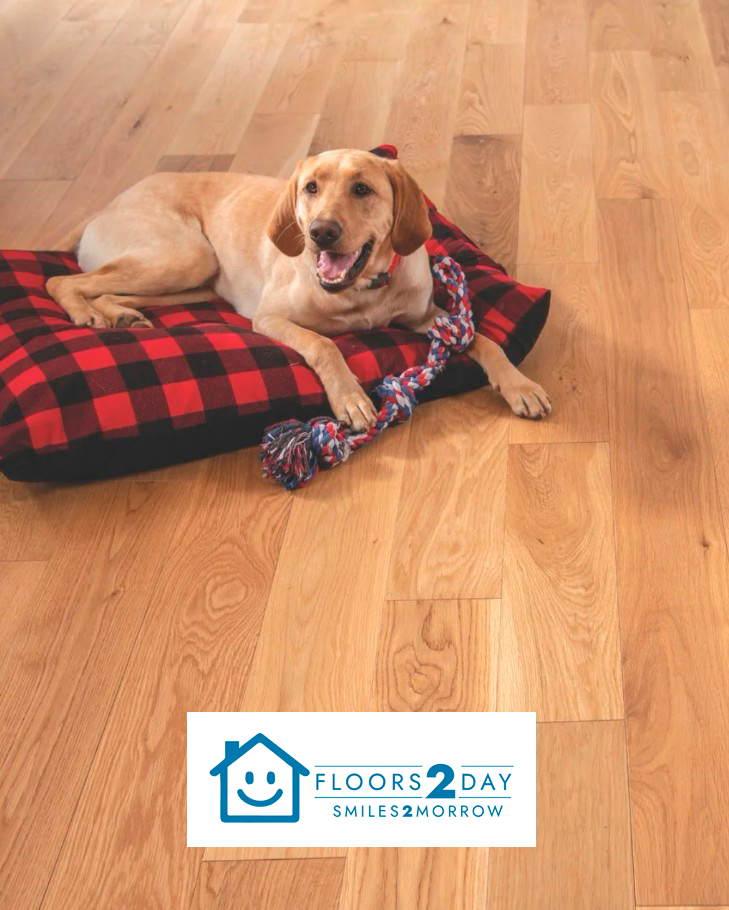 Flooring Store in Annapolis, MD 4 1